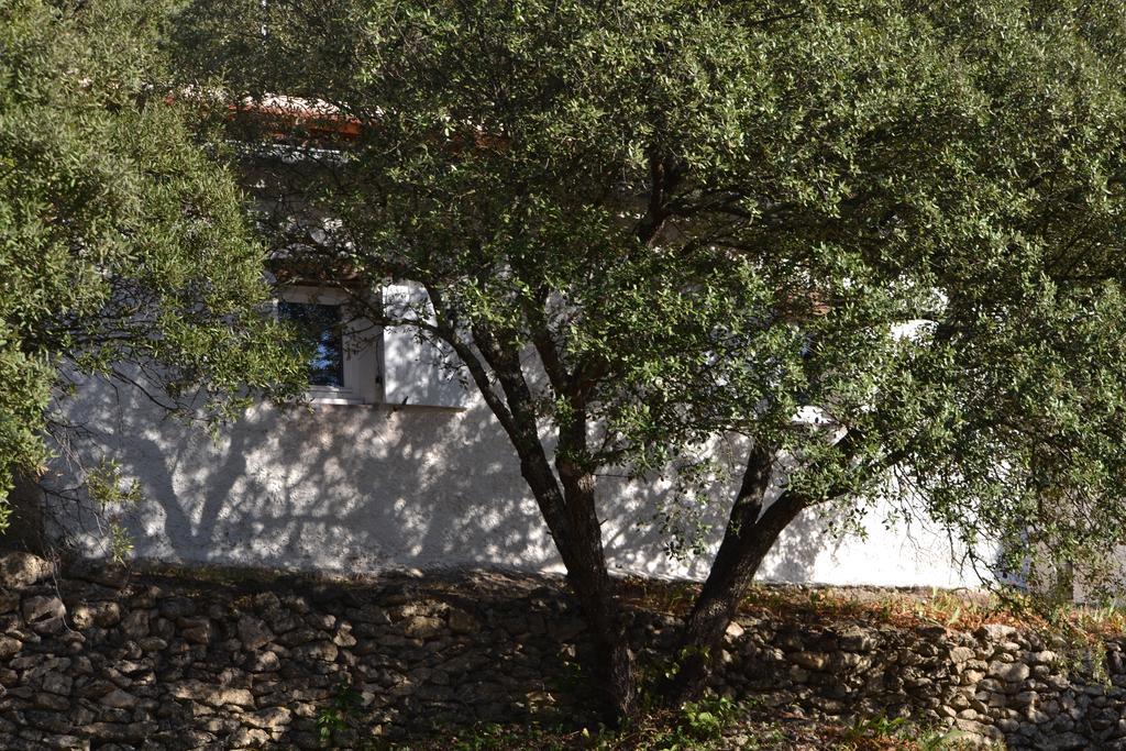 Tivoli En Provence Villa Cotignac Exterior photo